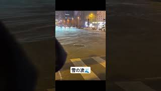 雪の波🌊　#shorts #おもしろ動画 #funnyshorts #雪 #波動 #冬