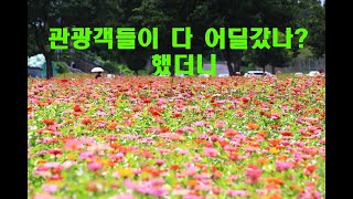 울산 여행 함 가보까? 대왕암출렁다리,태화강국가정원, 홍룡폭포 까지