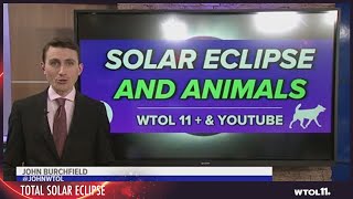 How do animals react to a solar eclipse?