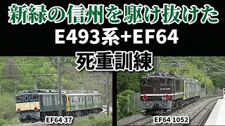 【新緑の信州を駆け抜けたE493系+EF64 死重訓練】