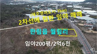 [제주빠빠] 제주도부동산｜ 제주영어도시7km ｜2차선도로에 접한｜ 한림읍 월림리 임야200평 매매2억6천 ☎010-3318-5088