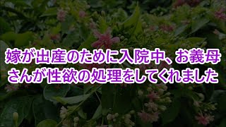 嫁が出産のために入院中、お義母さんが性欲の処理をしてくれました【感動する話】