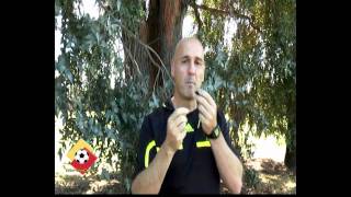 Refsworld whistle techniques