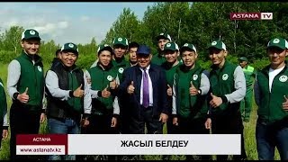 Президент Нұрсұлтан Назарбаев жасыл белдеуге қырғауылдар жіберіп, ағаш отырғызды