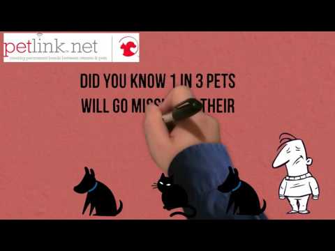Where is PetLink located?