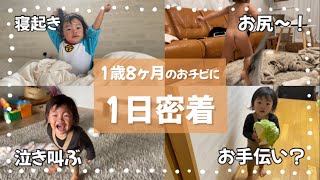 【1日密着】1歳8ヶ月boyを動画にしたら奇跡起きた面白すぎてしんどい