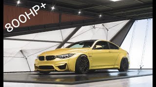 800HP+ BMW M4 - Forza Horizon 5 || Steering Wheel Gameplay