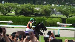 ジェラルディーナの返し馬 (2023年宝塚記念)