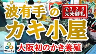 【かき養殖】大阪初のかき養殖に成功！波有手ぼうでのカキ小屋