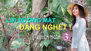 Lời đường mật đắng nghét – Tập 3 | Truyện ngắn Sáng tác