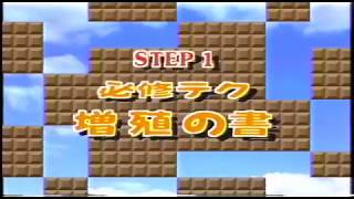 【攻略ビデオ】（SFC）スーパーマリオワールド　パーフェクトビデオ　　GTV