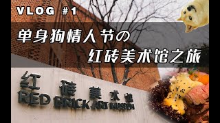 【不可思屹Vlog】单身狗情人节的红砖美术馆之旅 | 陶思屹VLOG#1 | 帝丼屋牛肉饭打卡