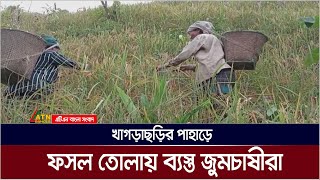 খাগড়াছড়ির পাহাড়ে ফসল তোলায় ব্যস্ত সময় পার করছেন জুমচাষীরা/khagrachari