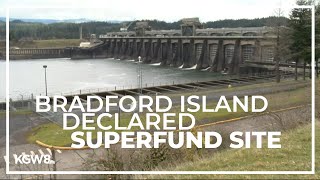 Bradford Island on the Columbia declared Superfund site after years of toxic dumping