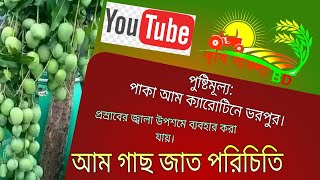 চারাতৈরি: ক্লেফট গ্রাফটিং পদ্ধতিতে চারা তৈরি করা যায়। চারাতৈরি:পাট-২