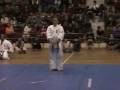 kyokushin kata seienchin