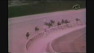 Ruffian's First Race