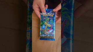 포켓몬카드 낙원드래고나 오픈 결과는? Pokemon card