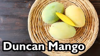 Truly Tropical Mango Varieties- ‘Duncan’