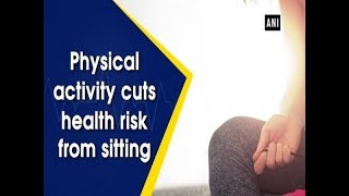 Physical activity cuts health risk from sitting - Health News