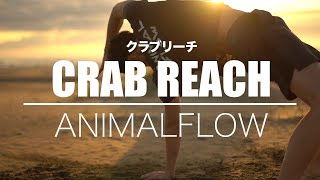 [ANIMAL FLOW]CRAB REACH（クラブリーチ）の動きで猫背改善やお尻を引き締めよう！最強のトレーニングアニマルフロー！