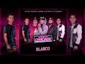 Grupo Codiciado Blanco (ESTUDIO)