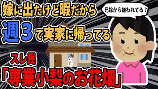 【報告者はお花畑】「嫁に出たけど週３で実家に遊びに行くのがやめられない。兄嫁に嫌がられてるかも？」スレ民「あまりにもKY」【2ch】【ゆっくり解説】