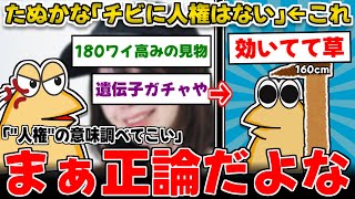 【2ch面白いスレ】たぬかな「チビに人権はない」←これｗｗｗ低身長民効いてて草ｗｗｗ【ゆっくり解説】