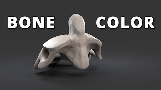 How to draw bone  - color picking