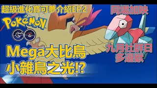 【超級大比鳥】小雜鳥之光!?九月社群日多邊獸超強! - 超級進化寶可夢介紹EP.2