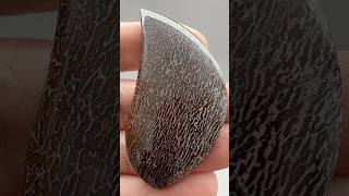 Huge Red Dinosaur Bone Cabochon 01 25 2025 #gemcabochons #lapidary #dinosaur #bones