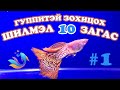 TOP 10 guppy tankmates (Гуппитэй зохицох шилмэл 10 загас)