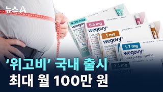 비만 치료제 ‘위고비’ 국내 출시…최대 월 100만 원 / 채널A / 뉴스A