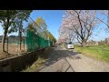 【埼玉】県立飯能南高等学校 飯能市 をバイクで廻るaround