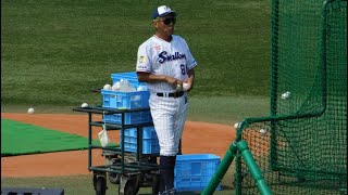 ヤクルトスワローズ　池山監督！　打撃投手！ブンブン丸投法！