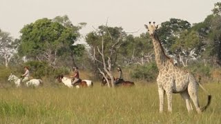 Harbor House Life: Safari on Horseback in Botswana, Episode 1