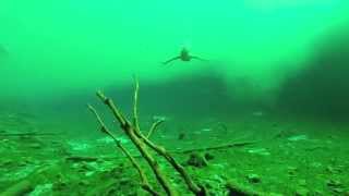 Cenote Carwash (Aktun Ha) in Tulum Mexico