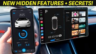 BRAND NEW Hidden Features! - Tesla Model 3 + Model Y