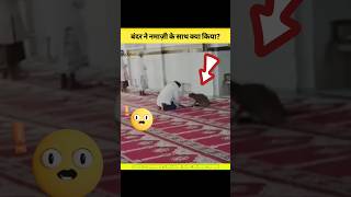 Monkey Inside The Mosque , मस्जिद के अंदर बंदर #viral #namaz #ytshorts #shorts