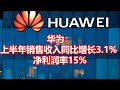 华为：上半年销售收入同比增长3.1% 净利润率15%