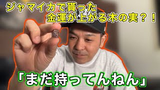 【REDSPIDER】ジャマイカで旅する日本人に貰った”木の実“の話