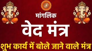 मांगलिक वेद मंत्र। शुभ कार्यों में बोले जाने वाले मंत्र। वेद पाठ मंत्र Shanti paath Mantra #Vedpaath