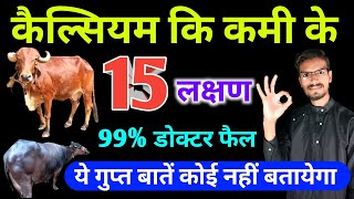 कैल्शियम की कमी के 15 लक्षण | calcium ki kami ke lakshan | symptoms of calcium deficiency in cattle