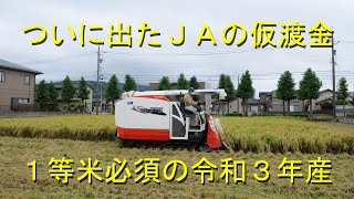 雨で出遅れたけど稲刈り順調・サクセスナイトのプチ改良・2021