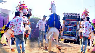 Rajasthani Shaadi Baraat !! Perfume lagave Chunni Mein !! Ghodi Dj Dance !! Marwadi Song