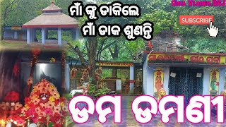 Maa Dam Damani Pitha Cuttack//ମାଁ ଙ୍କୁ ଡାକିଲେ ମାଁ ଡାକ ଶୁଣନ୍ତି//#odiavlogs #viral #trending #cuttack