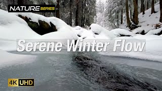 Soothing Winter Stream: One Hour of Tranquility | Catskill Mountains