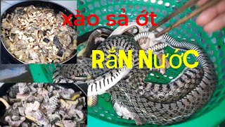 Rắn xào sả ớt rải kèm đậu phộng ngon khó cưỡng #điểunhớvlog