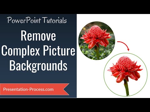 PowerPoint Remove Picture Background : Effect Series PowerPoint Remove Picture Background : Effect Series