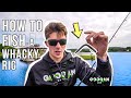 HOW and WHERE TO FISH a WHACKY RIG! ( LUNKER LOG TIPS )